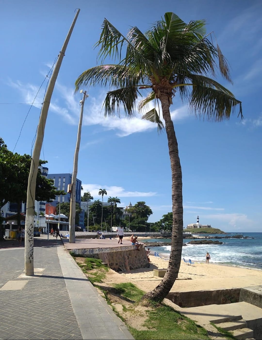 Imagem do WhatsApp de 2025-06-25 à(s) 12.22.19_33051896